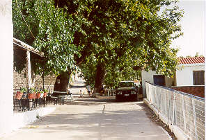 PlataniaDorfplatz